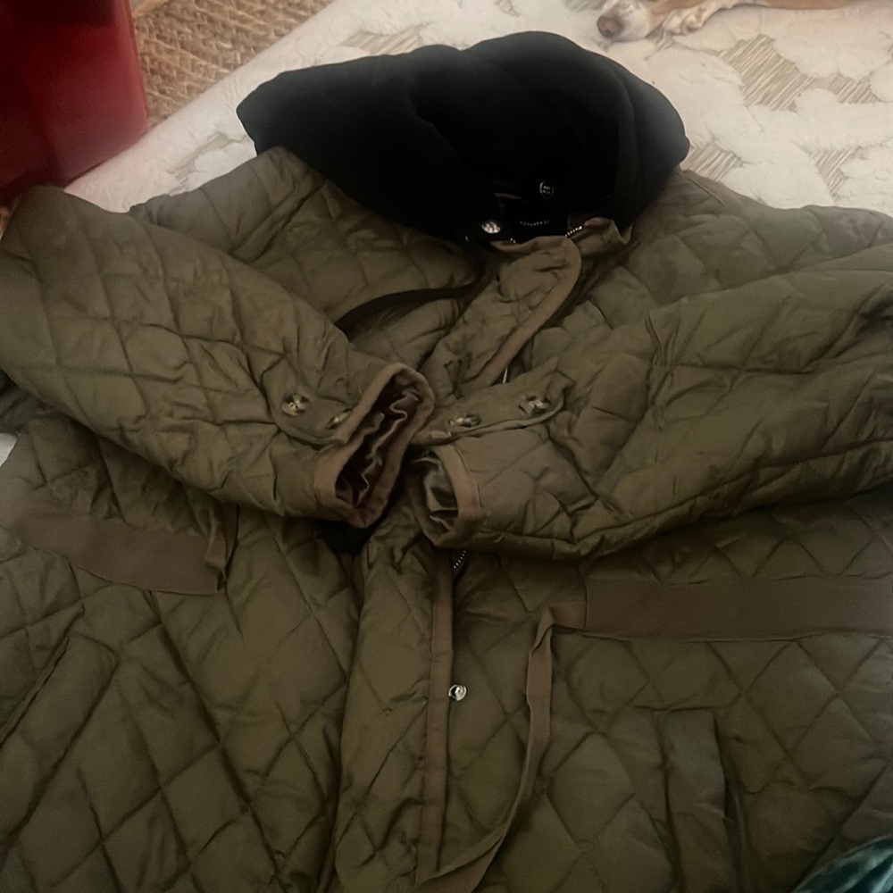 Green quilted jacket with hoodie hood